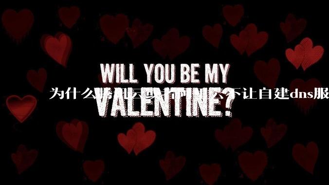 为什么腾讯云或者阿里云不让自建dns服务器?