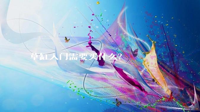 草缸入门需要买什么？