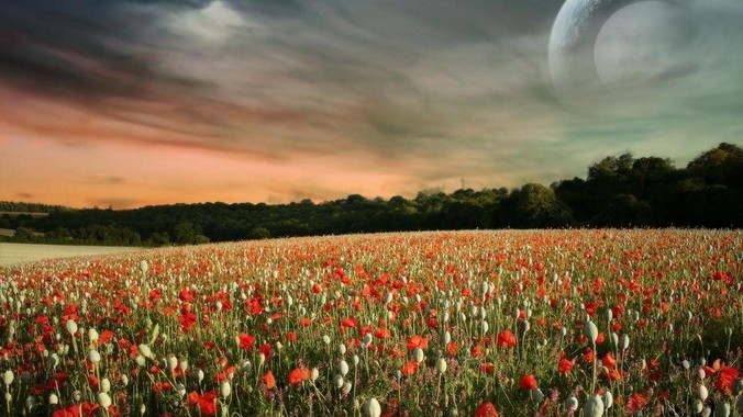 我的世界怎么租一个四个人的服务器？